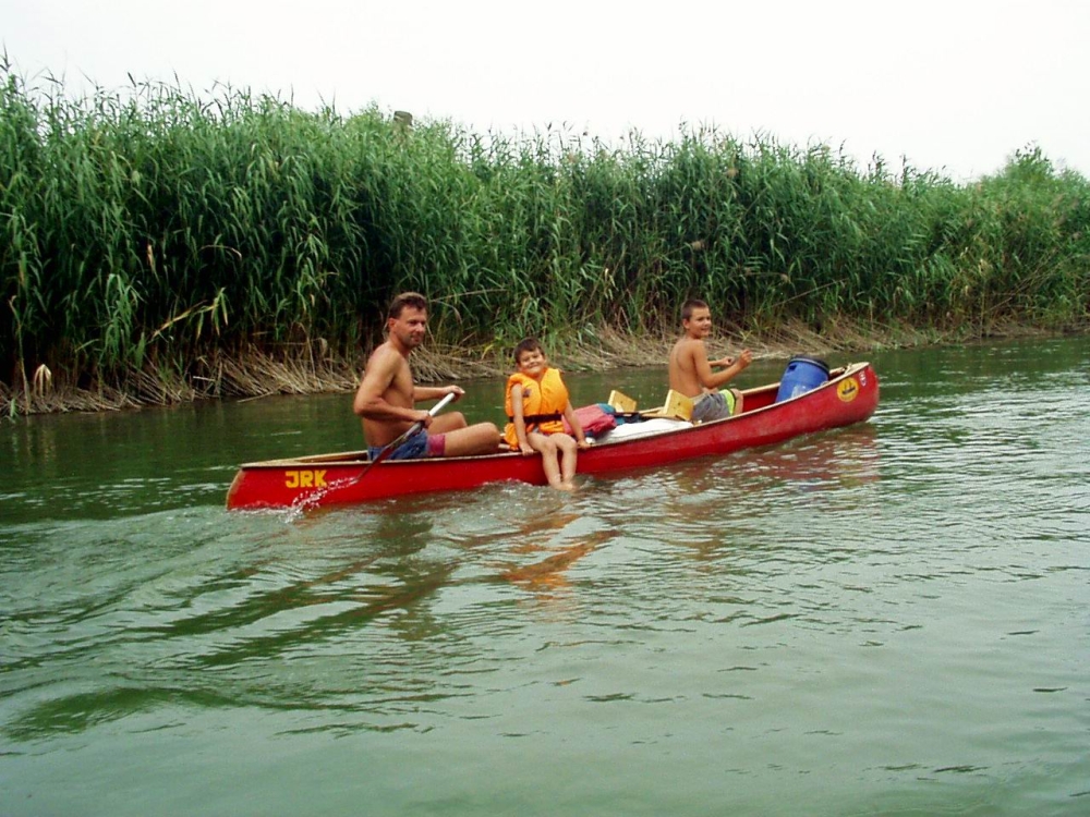 02_moson_05.jpg