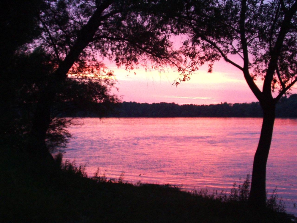 02_moson_46.jpg