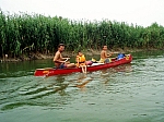 02_moson_05.jpg