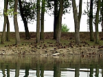 02_moson_20.jpg