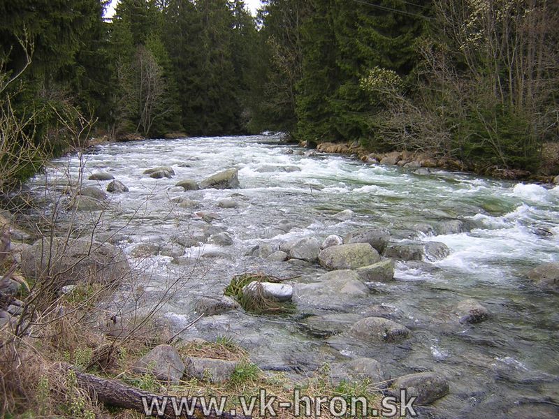 03_dunajec_bela_24.jpg