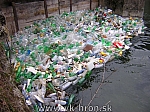 04_welk_wody_33.jpg