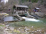 04_welk_wody_34.jpg