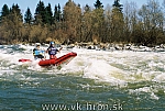04_welk_wody_48.jpg