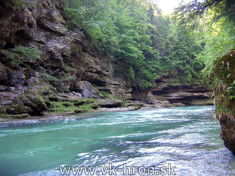 04_wildalpen_21.jpg