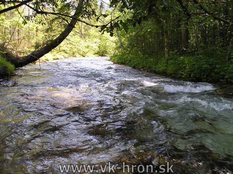 04_wildalpen_34.jpg
