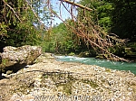 04_wildalpen_20.jpg