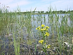 05_dun_ram_38.jpg