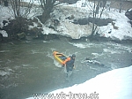 05_ww_23.jpg