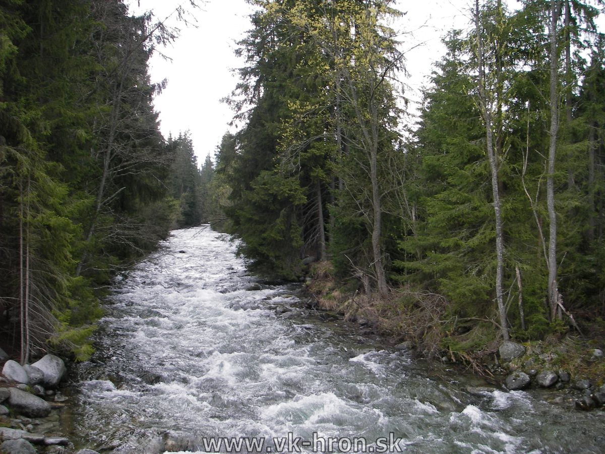 06_bela_09.jpg