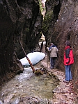 06_ww_46.jpg