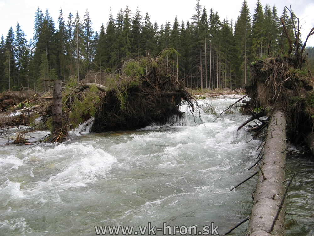 07_bela_27.jpg