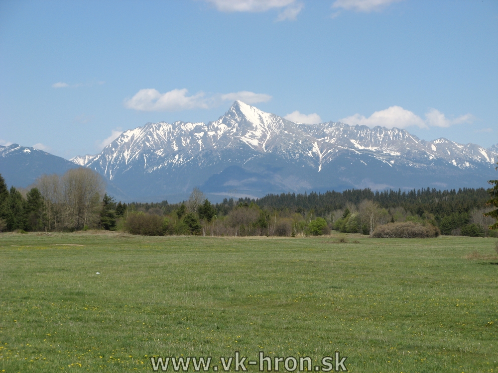 07_bela_33.jpg