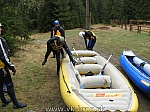 07_bela_07.jpg