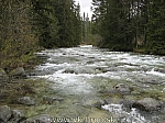 07_bela_24.jpg