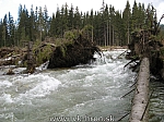 07_bela_27.jpg