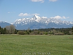 07_bela_33.jpg