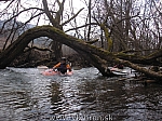 07_ww_07.jpg