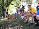10_g_cup_23.jpg