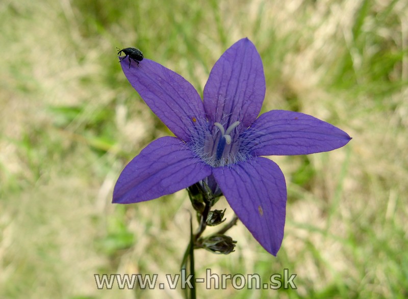 11ukrajina089.jpg