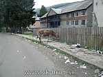 11ukrajina026.jpg