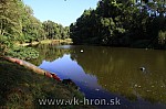 12_gcup_001.jpg
