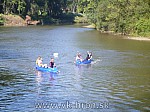 12_gcup_029.jpg