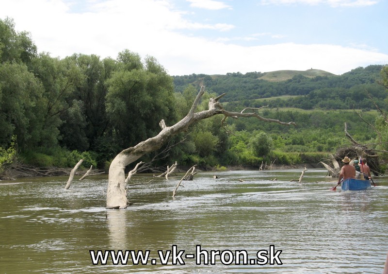 12_hornad_60.jpg