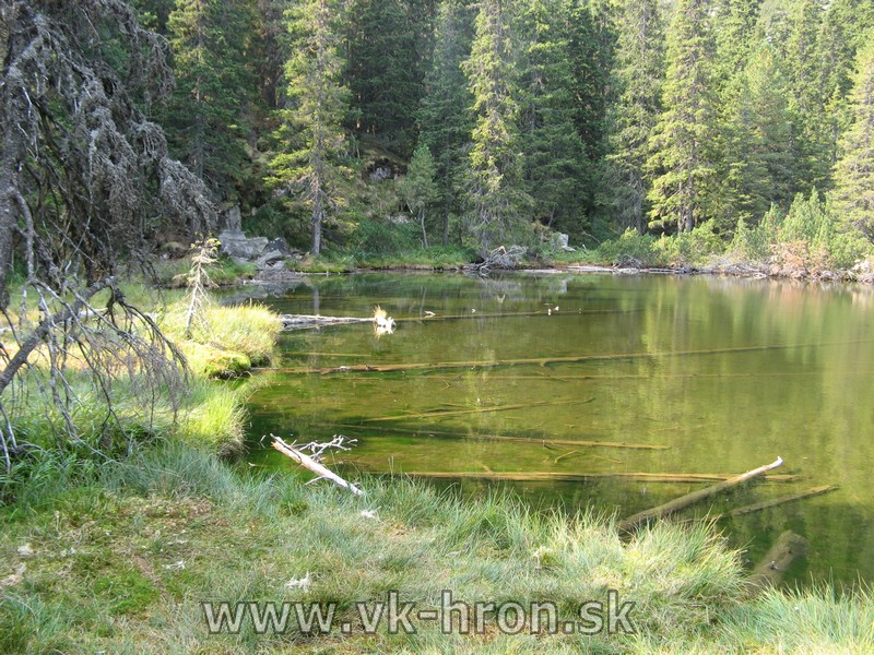 12_retezat_011.jpg