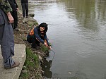12_danov_spl_04.jpg