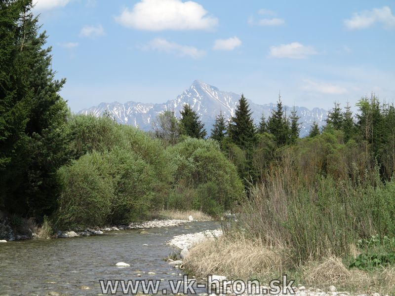 13_bela_13.jpg