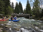 13_bela_26.jpg