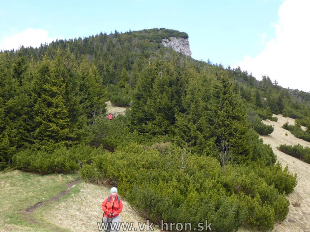 14_wwh_77.jpg