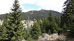 14_wwh_59.jpg