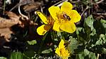 14_wwh_79.jpg