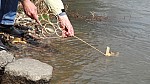 DSC02032.jpg