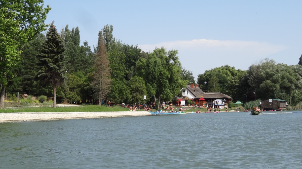 15_moson_015.jpg