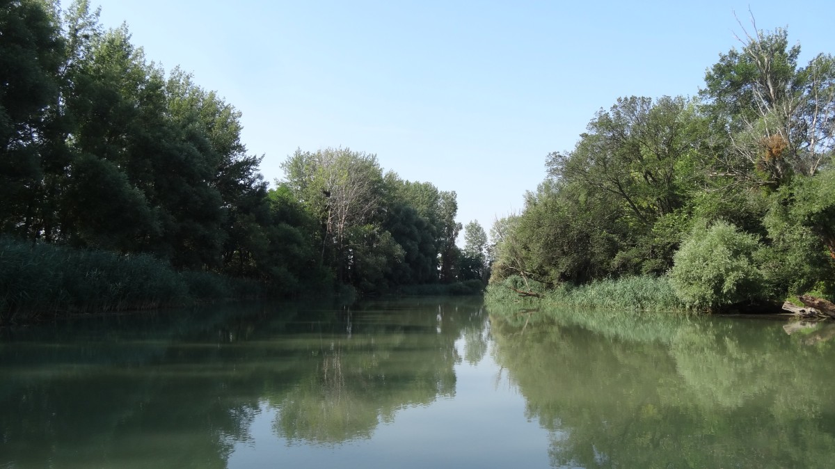 15_moson_023.jpg