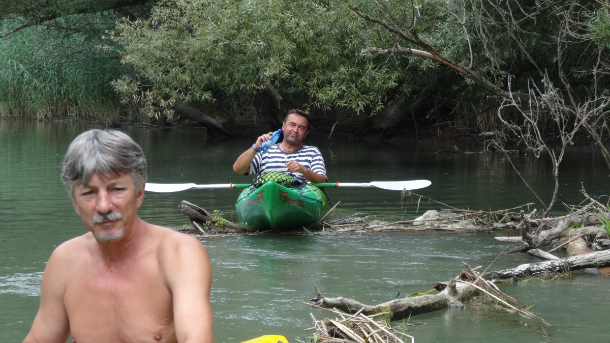 15_moson_044.jpg
