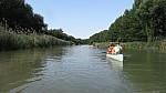 15_moson_005.jpg