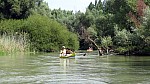 15_moson_009.jpg