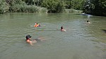 15_moson_012.jpg
