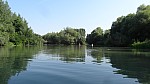 15_moson_019.jpg