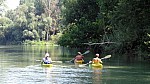 15_moson_032.jpg