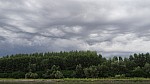 15_moson_060.jpg