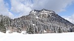 DSC02202.jpg