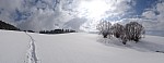 DSC02273.jpg