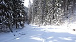 DSC02319.jpg