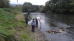 DSC05983.JPG