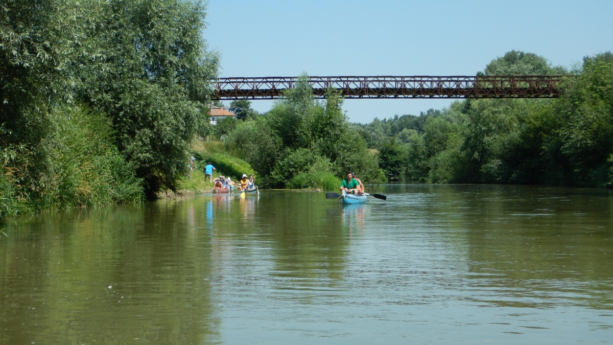 DSCN0125.jpg
